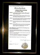 Springs 2000 City Resolution
